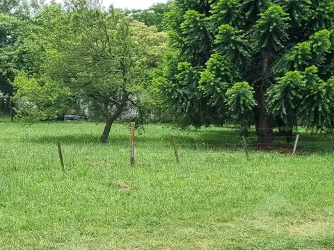 Terreno en Venta 103  mts Fondo