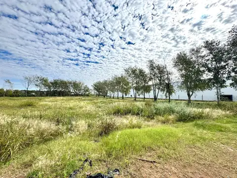 Terreno en Venta de 3931,0 m2