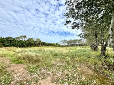 Terreno industrial sobre Autopista Rosario Buenos Aires