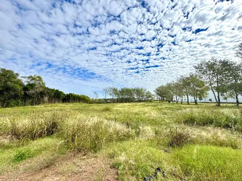 Terreno en Venta en Alvear, USD 295.000