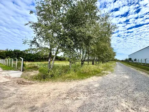 Terreno en Venta de 3931,0 m2
