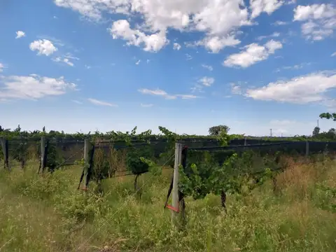 Quinta en Venta con 1 cochera