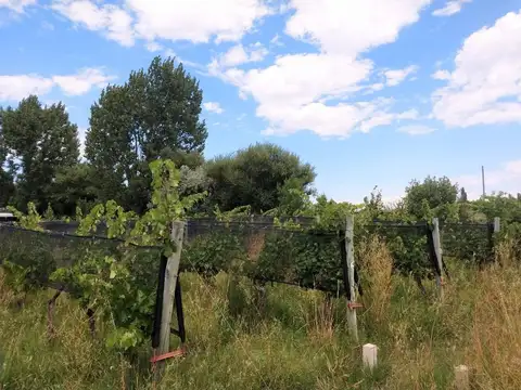 Quinta en Venta en San Rafael, USD 220.000