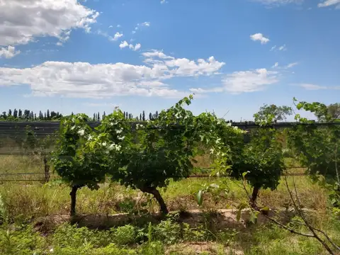 Quinta en Venta al Norte