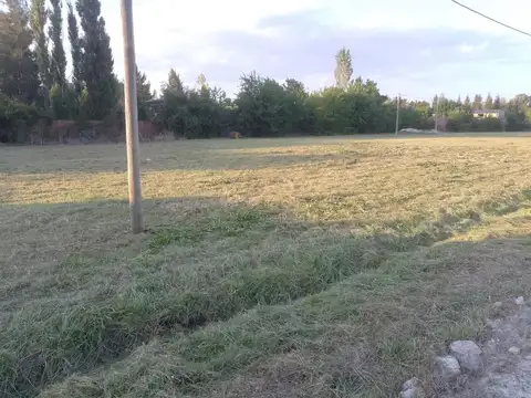 409 3800