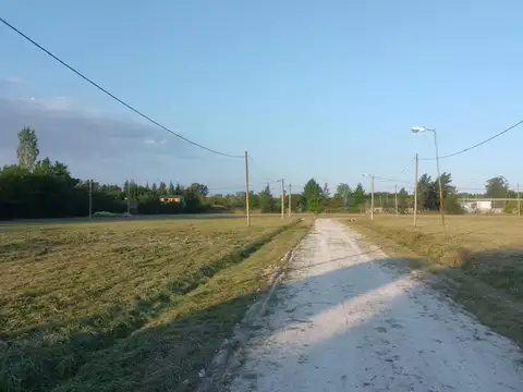 409 3800