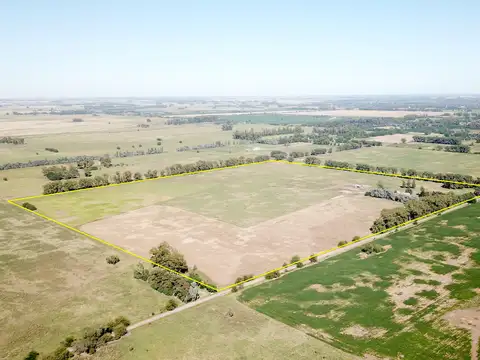 Campo en Venta de 44  ha