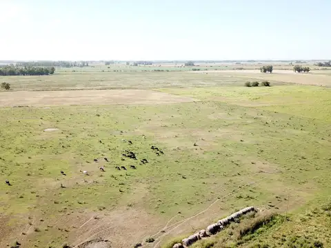 Campo en venta en General Rodriguez