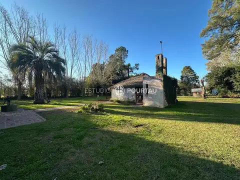 Quinta - Venta - Argentina, Brandsen