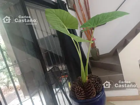 Depto Tipo Casa en Venta de 2 dormitorios