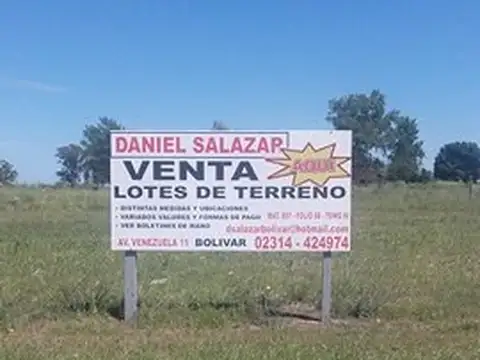 Ultimos 15 Lotes en Hale