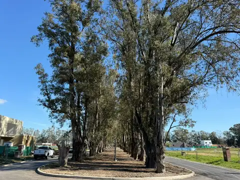 Lote en Venta en Barrio Santa Sofía, Pilar del Este, Pilar