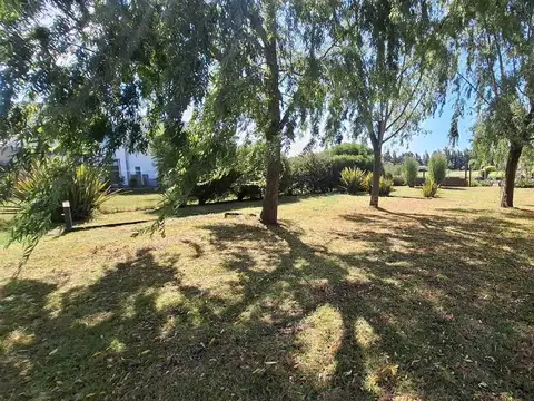 C Juan Díaz de Solís 6200