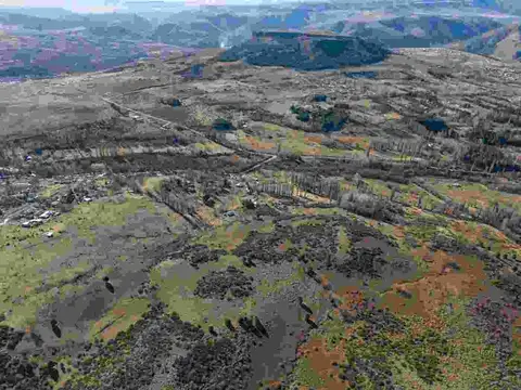 VENTA 19 HAS - ALUMINÉ