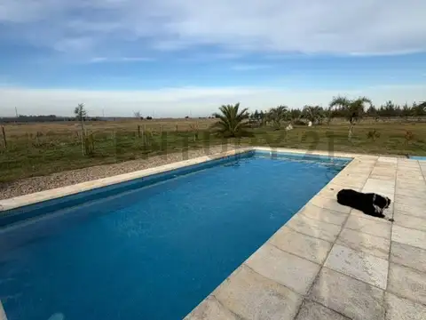 VENTA CHACRA DE 5 HA EN CAÑUELAS , CON VIVIENDA, QUINCHO  Y PISCINA