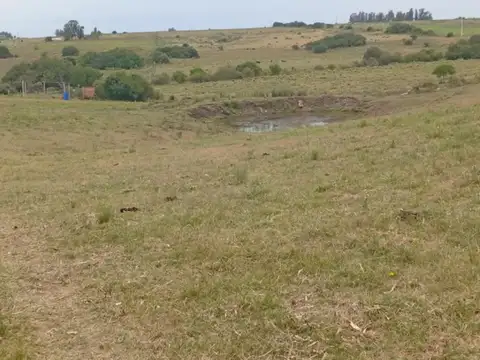 Chacra en Venta, San Carlos, Uruguay