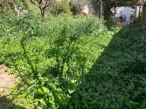 Venta Casa ó Lote 3 Ambientes 2 dormitorio,Saavedra c/Jardin