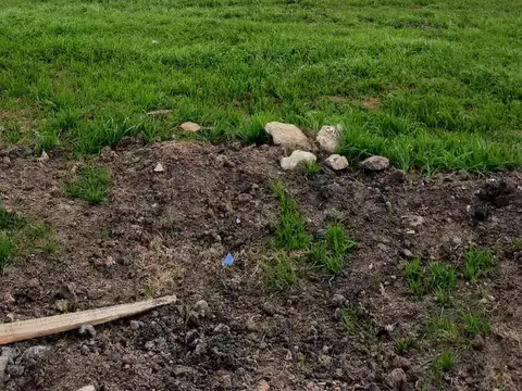 Terreno en Venta 24  mts Frente