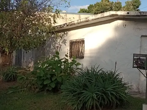 Tacuarí 1900