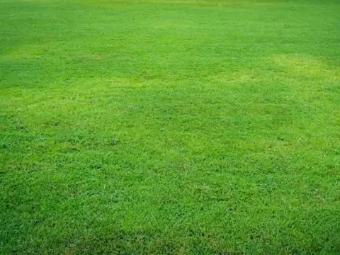 Venta terreno