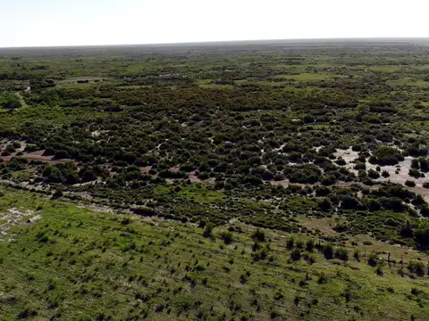 Campo venta
