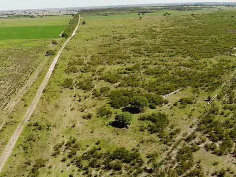 Campo venta