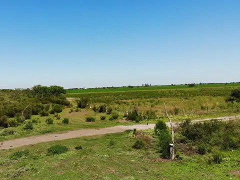 Campo venta