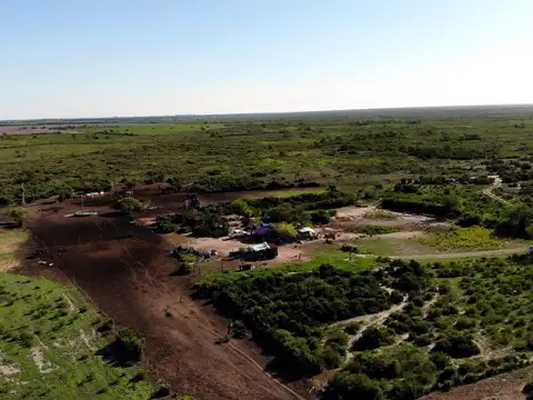 Campo venta