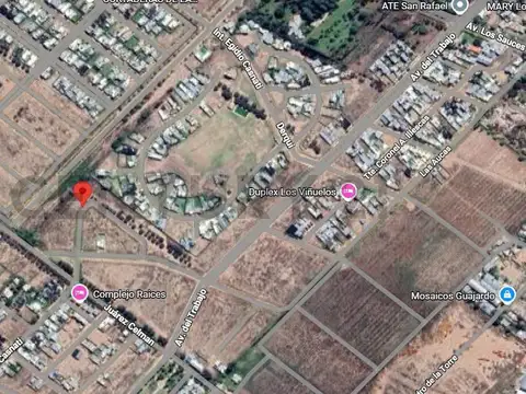 LOTE EN VENTA EN BARRIO NUEVA VIÑUELA SAN RAFAEL
