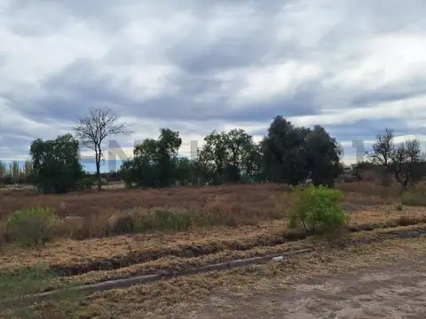 LOTE EN VENTA EN BARRIO NUEVA VIÑUELA SAN RAFAEL