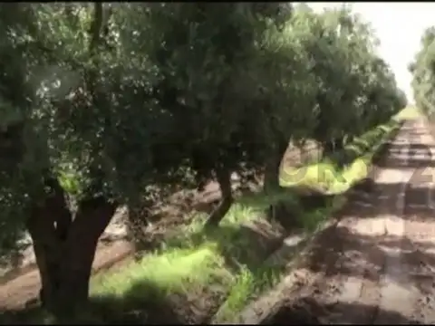 San Pedro y Las Piedritas , Piso 0