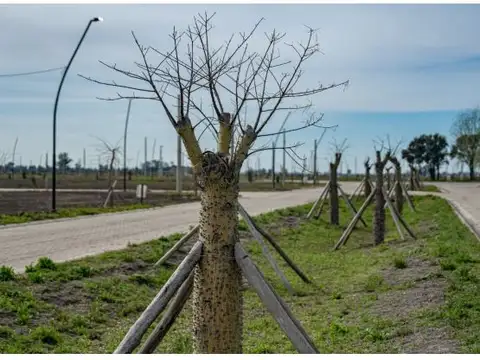 Km 12,5 Sobre Ruta 18