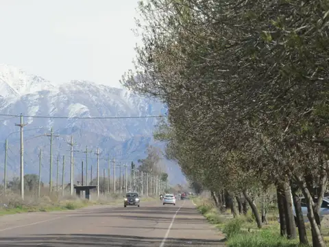 Terreno 2,5 has en Venta La Consulta Valle de Uco