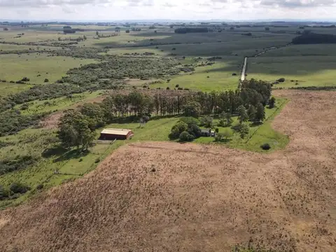 Campo - Venta - Uruguay, JOSE IGNACIO - RUTA 9 Km.156 camino lindero a Madellin