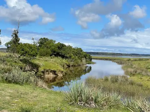 RUTA 9 Km.156 camino lindero a Madellin