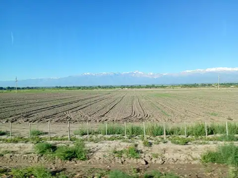 VENTA LOTE EN EL CORDÓN DEL PLATA - TUPUNGATO