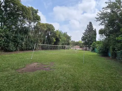 lacarra 100