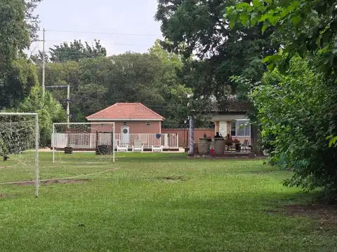 lacarra 100