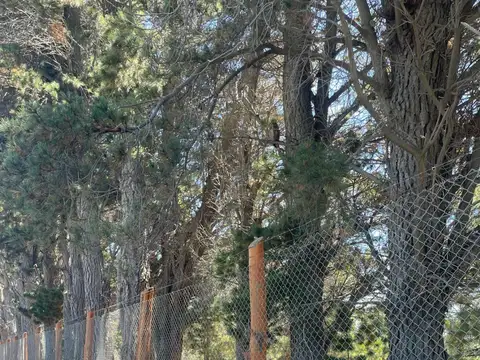 Terreno en Venta de 728,0 m2