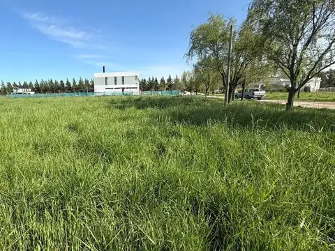 LOTE EN VENTA EN CAMPOS DE ROCA II BRADNSEN