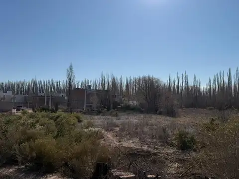 Terreno en Alquiler en Centenario, USD 2.500