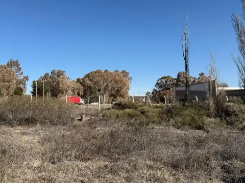 ALQUILER  1.3 HAS EN CENTENARIO