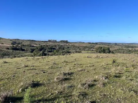Campo en venta al norte de Garzón - Buen acceso