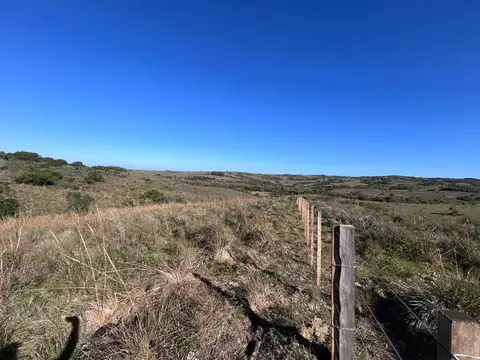 Campo en venta al norte de Garzón - Buen acceso