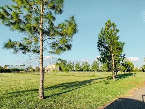 Terreno en Venta 23  mts Frente