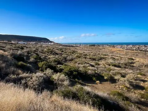 RADA TILLY . 11.000 M2