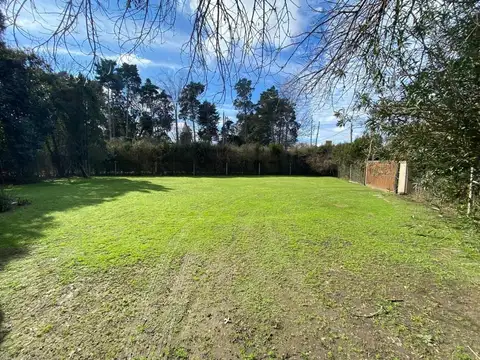 El Hornero 2300