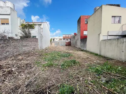 Terreno en Venta de 290,0 m2