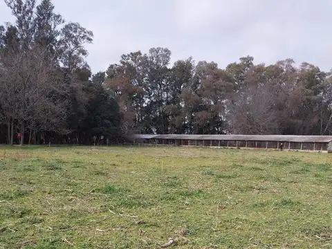 CHACRA EN VIRREY DEL PINO