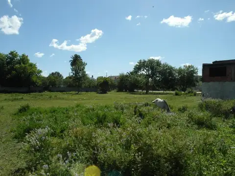 Galpon en Venta en Villa Montoro, USD 170.000